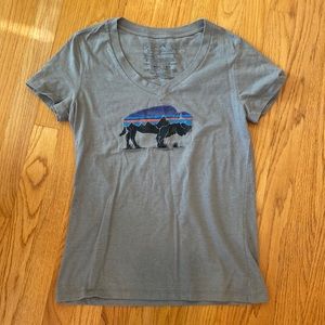 patagonia tshirt